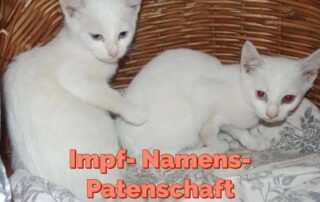 Impfpatenschauft für Hanni und Nanni