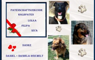 Tierwald e.V. Urkunde für Patenschaften